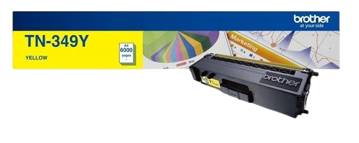TN349 Y
