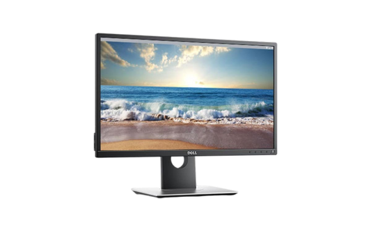 DELL P2317H