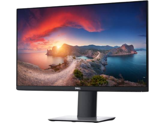 DELL P2219H