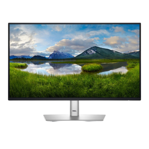 DELL P2422H